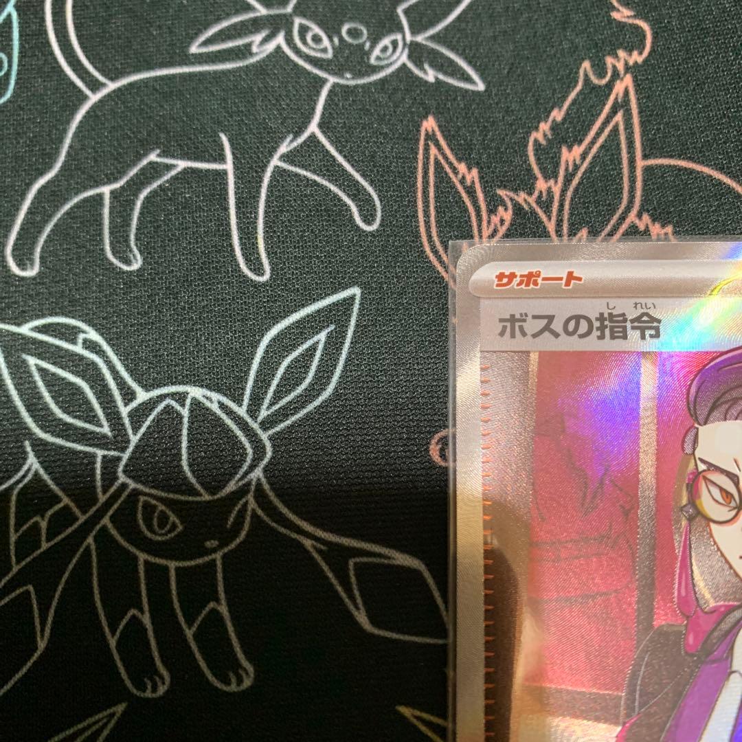 ボスの指令(カラスバ)