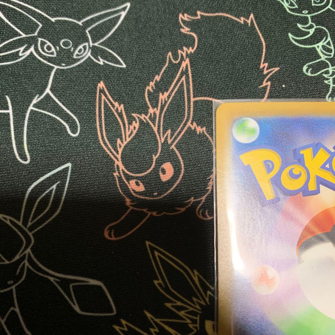 ボスの指令(カラスバ)