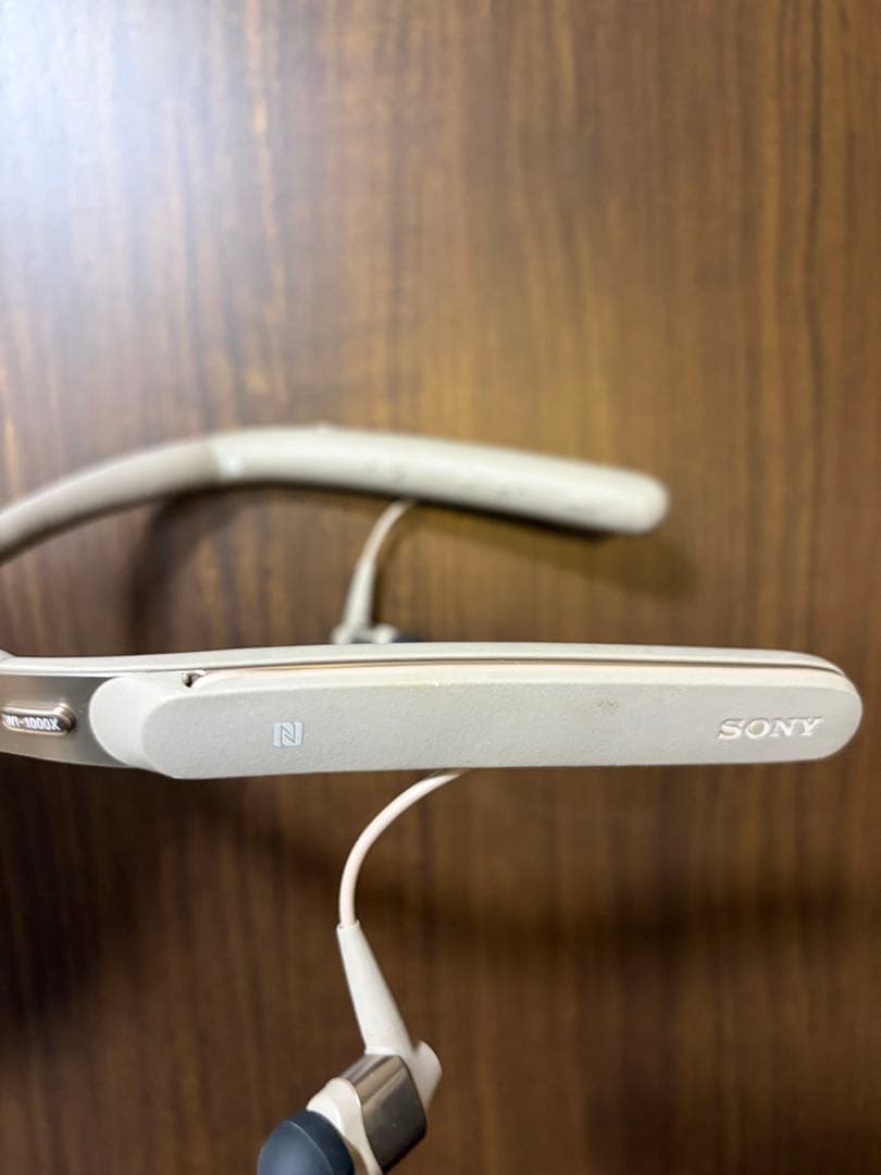 イヤホン WI-1000X