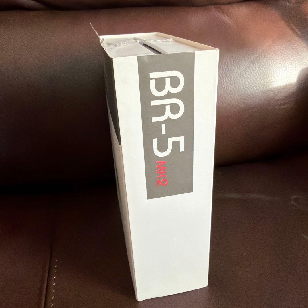 カナル型イヤホン BR5Mk2 WD