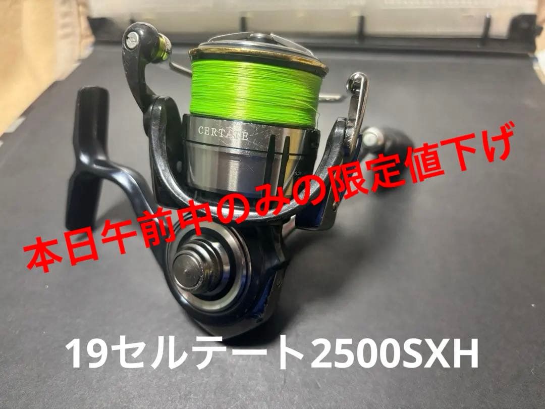 ☆限定値下げ☆ 19セルテートLT 2500S-XH