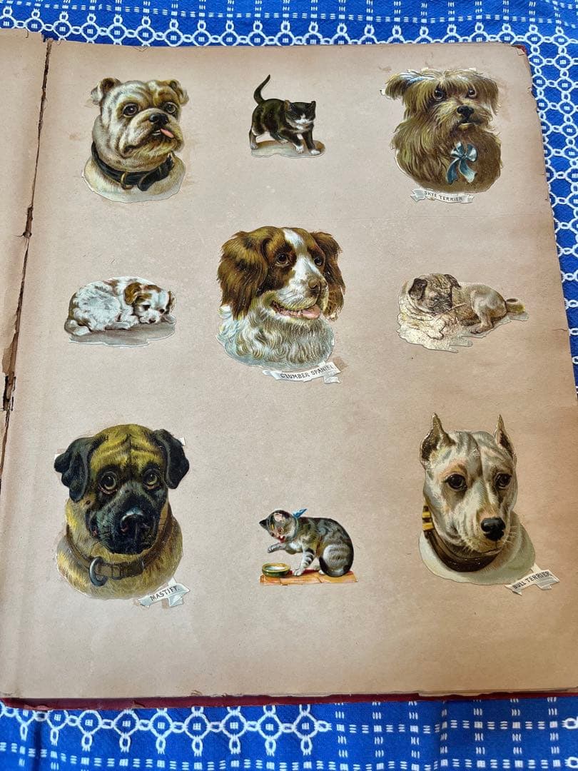 アンティーク赤ずきんちゃん♡他たっぷりのクロモス貼り大盤サイズアルバム冊子