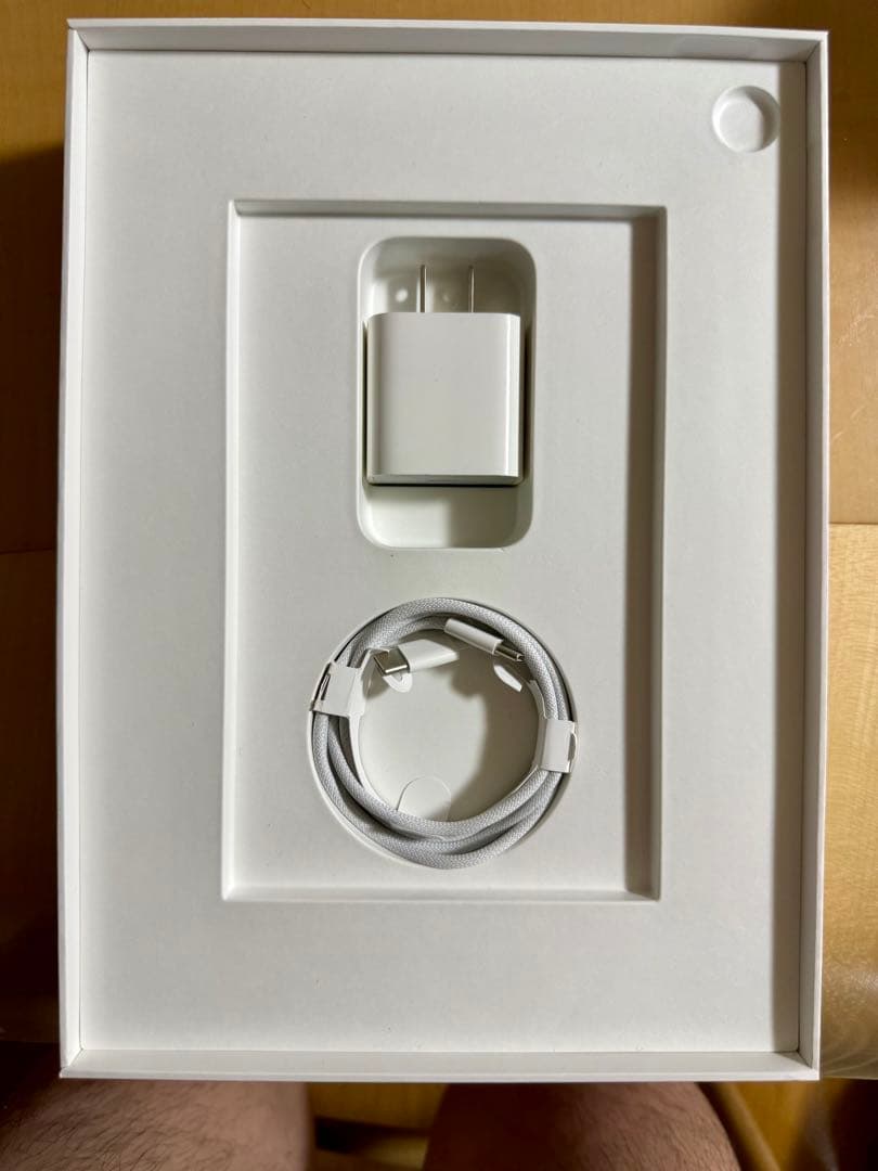 Apple iPad （第10世代）256G Wi-Fiシルバー 本体 充電器付