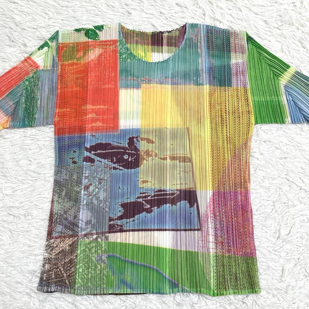 【極美品】プリーツプリーズ トップス L 半袖 グラフィック 転写 マルチカラー