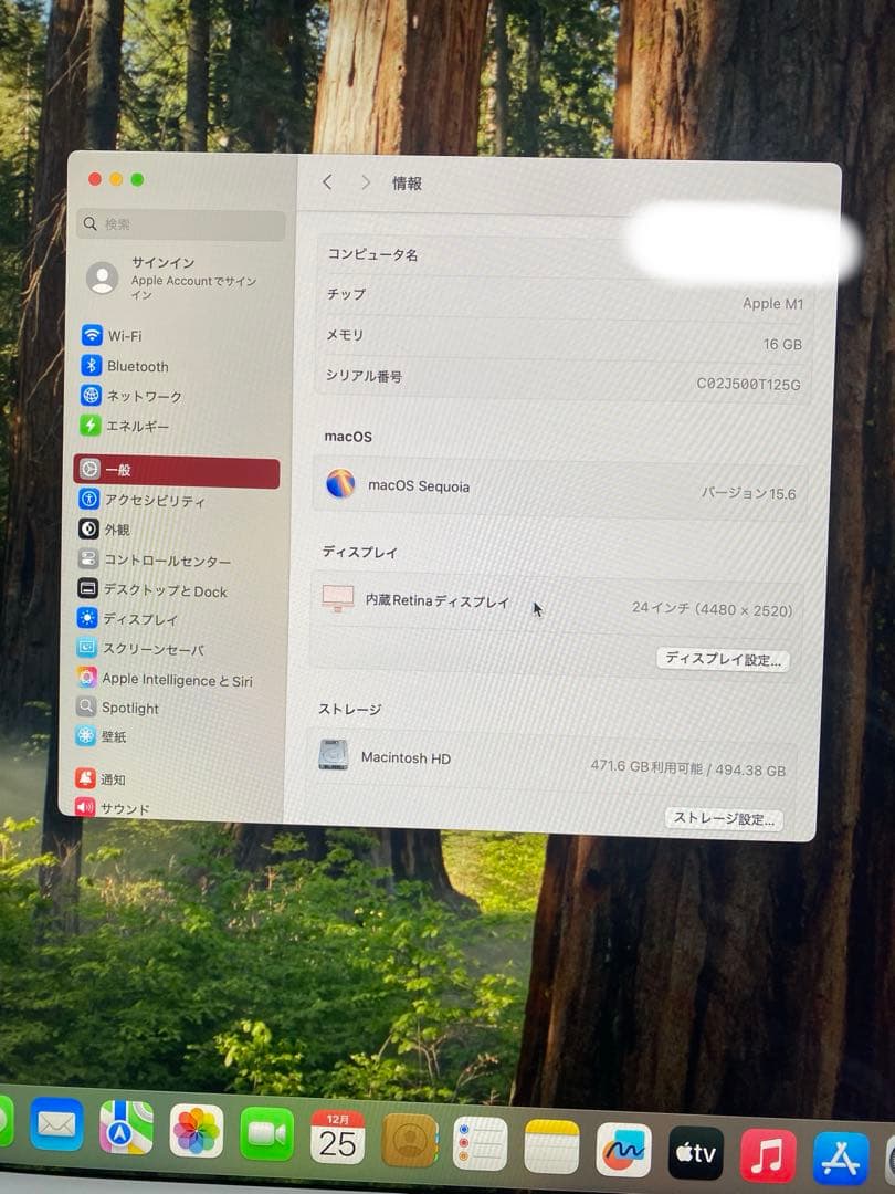 iMac 24インチ 2021 494.38GB メモリ16GB