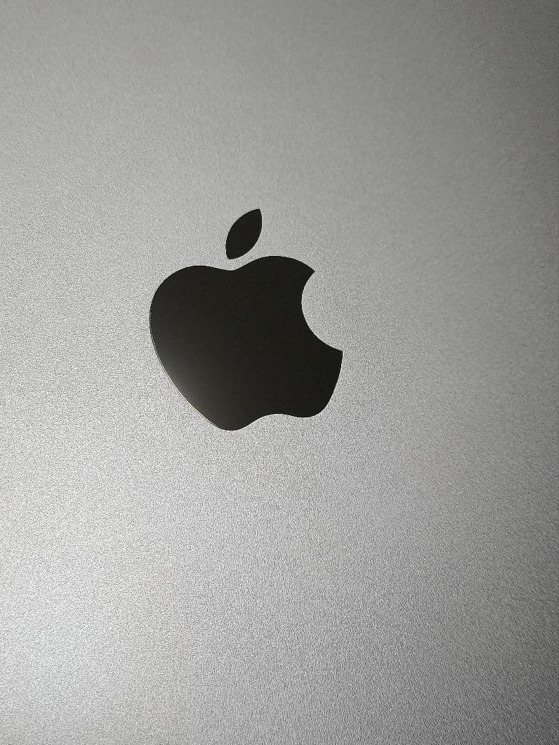 SIMフリー Apple iPadPro 11インチ 64GB 2018年