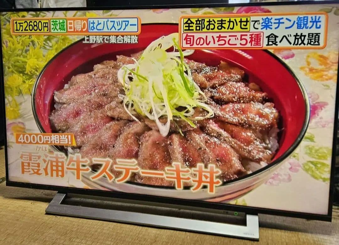 TOSHIBA REGZA43インチ43M530X 2019年製