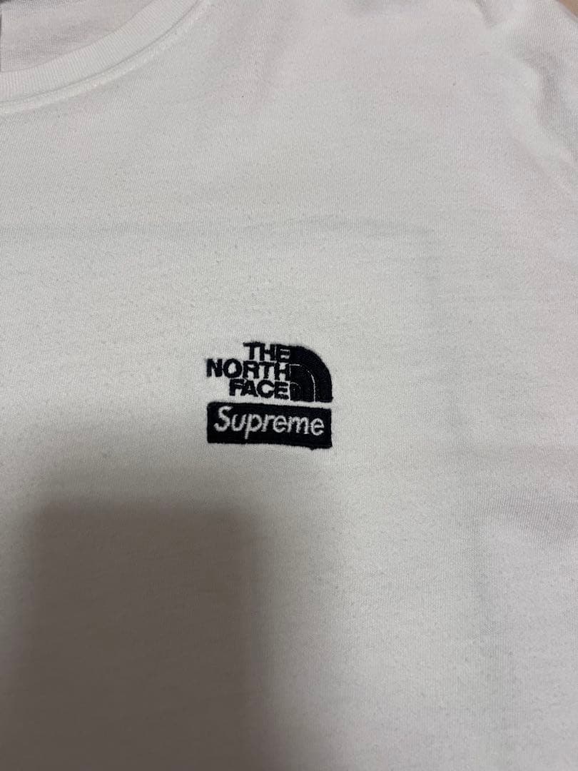 早い者勝ち　Supreme×THE NORTH FACEコラボ