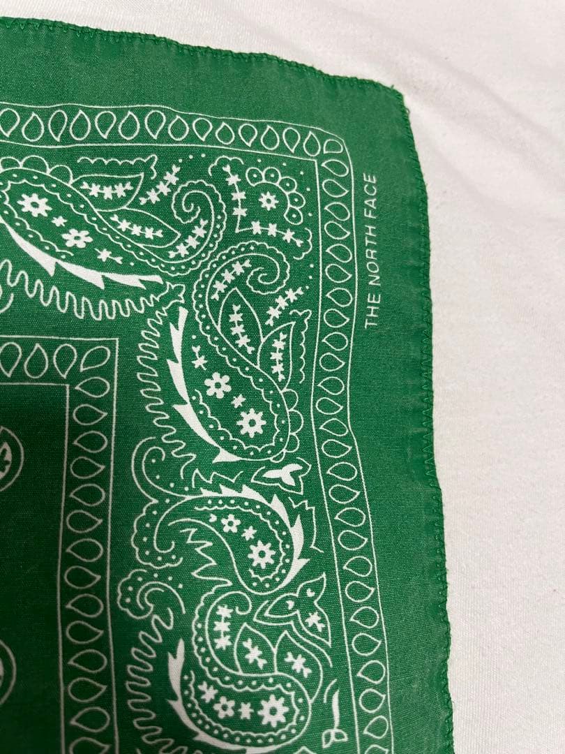 早い者勝ち　Supreme×THE NORTH FACEコラボ