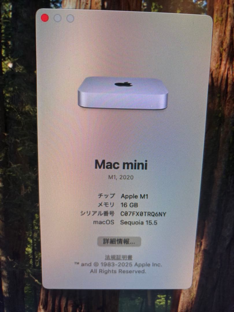Macデスクトップ Apple Mac mini M1 2020 16GB 1TB
