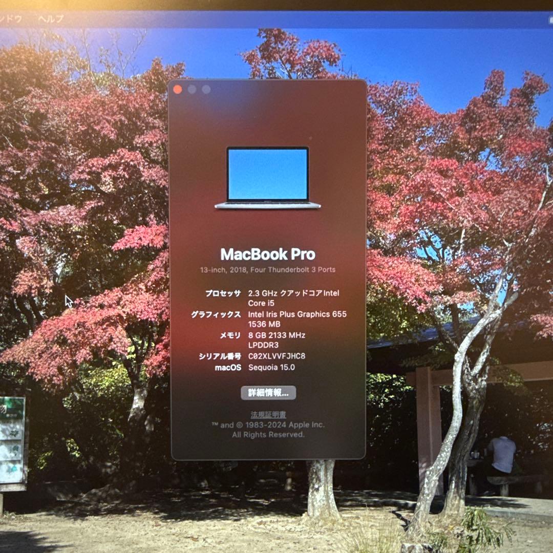 Apple MacBook Pro 2018 13インチ