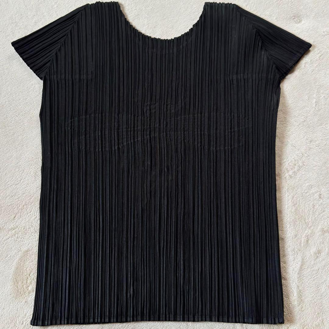 極希少✨ プリーツプリーズ トンボ 虫柄刺繍 立体 3D L イッセイミヤケ