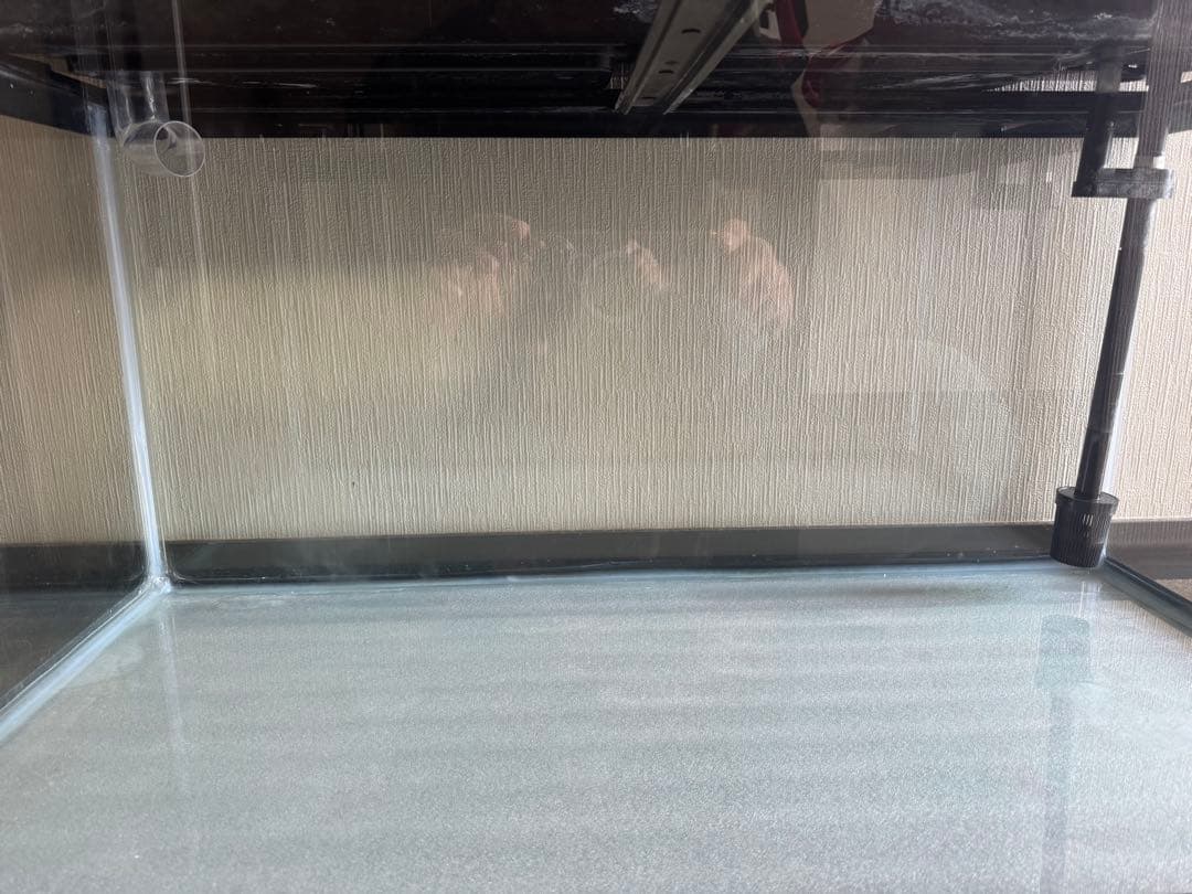 ❗️引き取り限定❗️ タイム出品