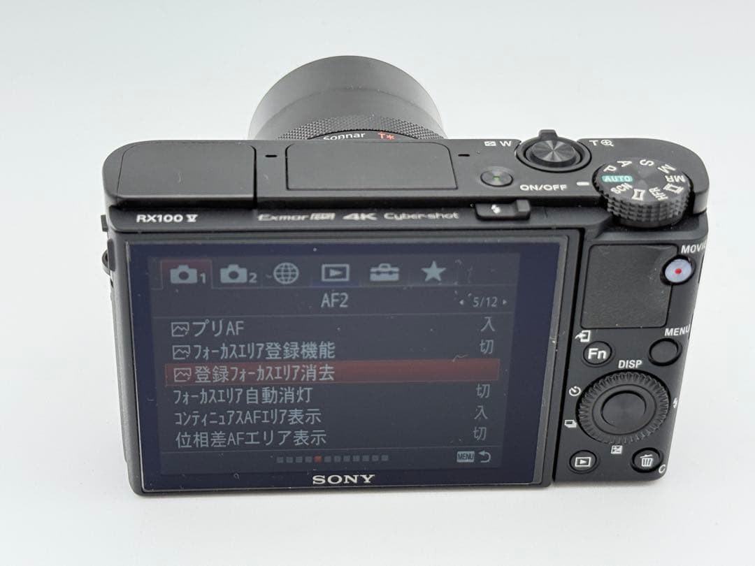 【極上美品】SONY CyberShot RX100V(DSC-RX100M5A