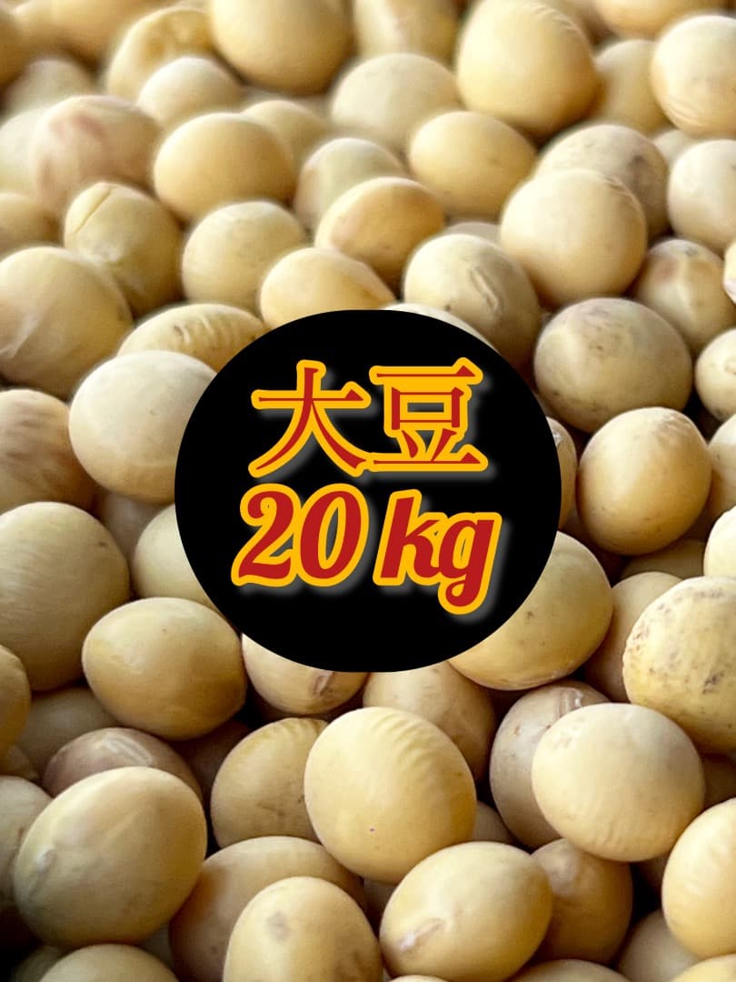 【農家直送】20KG 茨城県産大豆 里のほほえみ