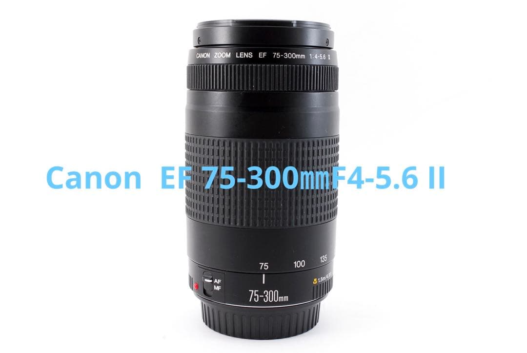 ☆イベント、大迫力の300㎜☆キャノン Canon EF75-300㎜