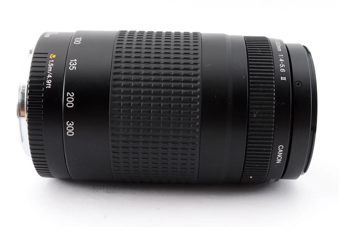 ☆イベント、大迫力の300㎜☆キャノン Canon EF75-300㎜