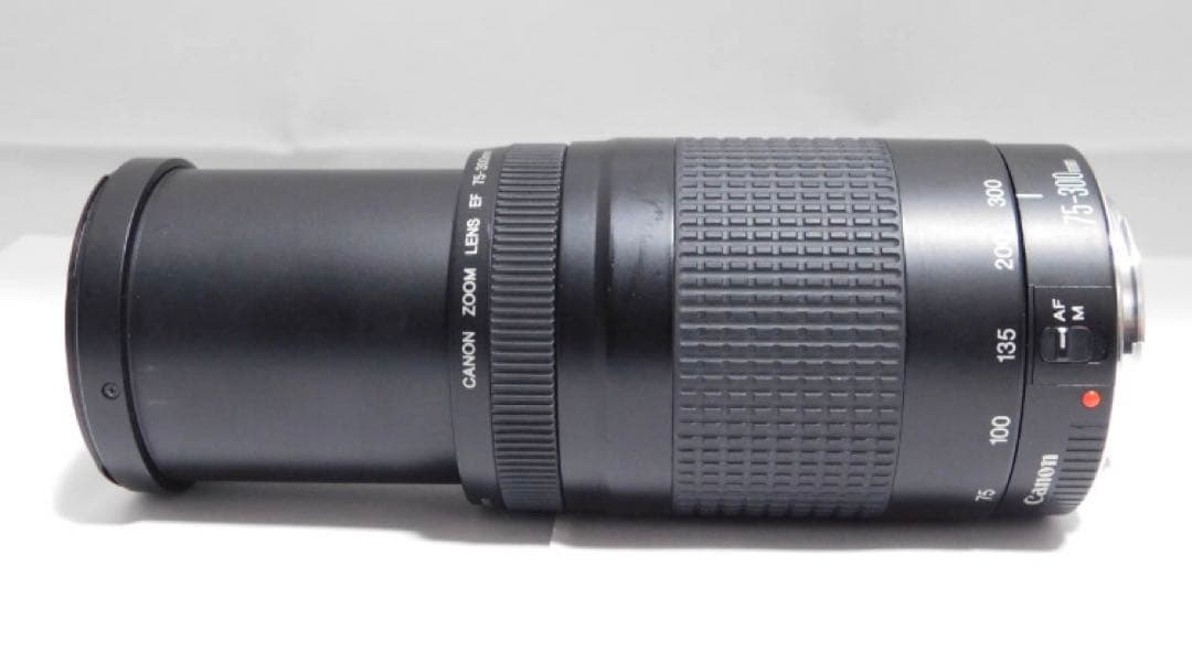 ☆イベント、大迫力の300㎜☆キャノン Canon EF75-300㎜