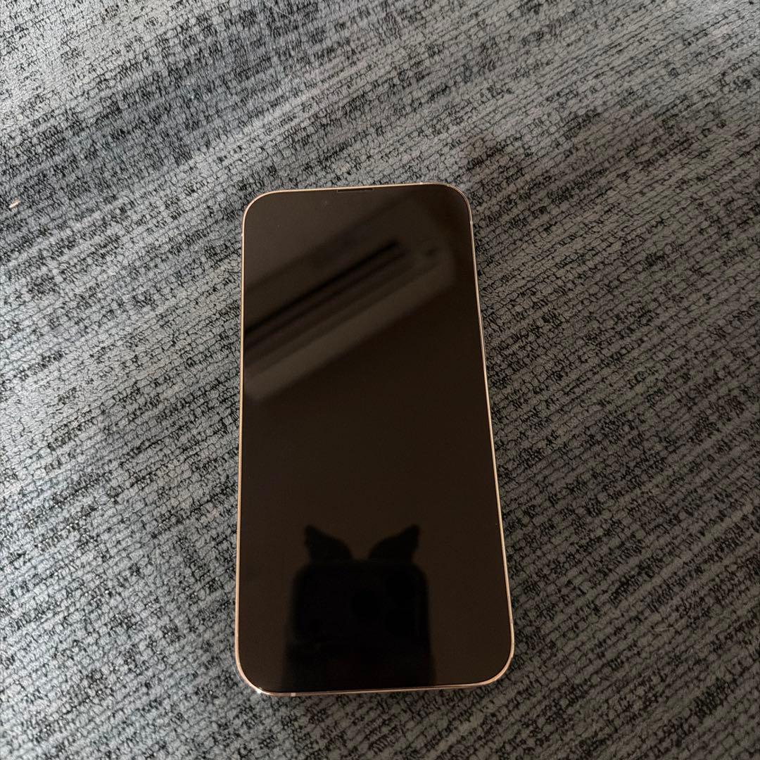 【値下げ】Apple iPhone 13 Pro シルバー 本体