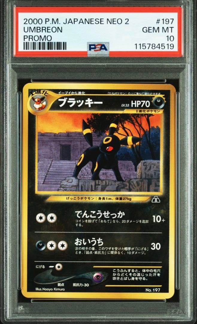 PSA10 ブラッキー プレミアムファイル2 プロモ　ポケカ 旧裏