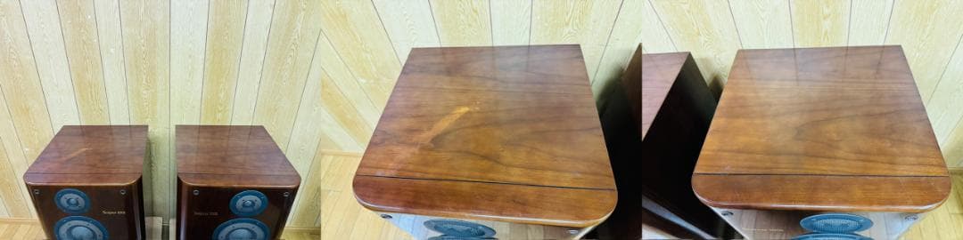 ONKYO Scepter1001 スピーカーペア オンキョー