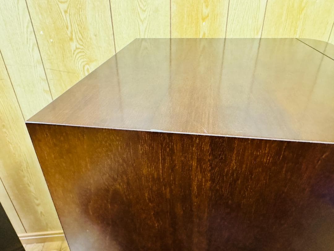 ONKYO Scepter1001 スピーカーペア オンキョー