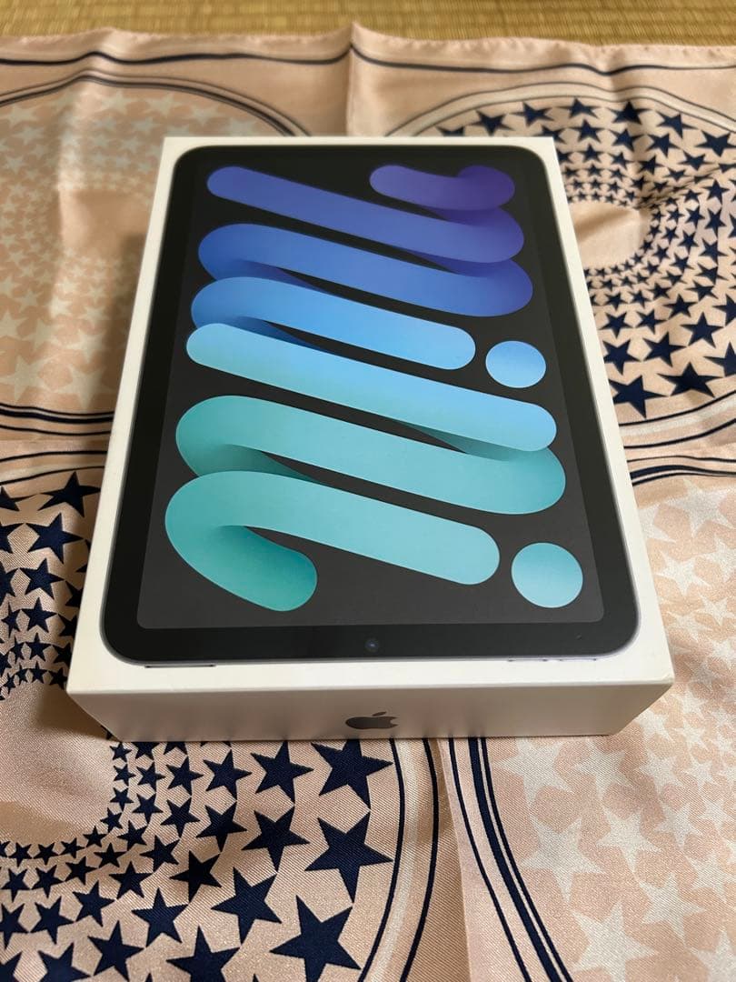 iPad mini6 64G Wi-Fiモデル　美品　現在最安値　美品