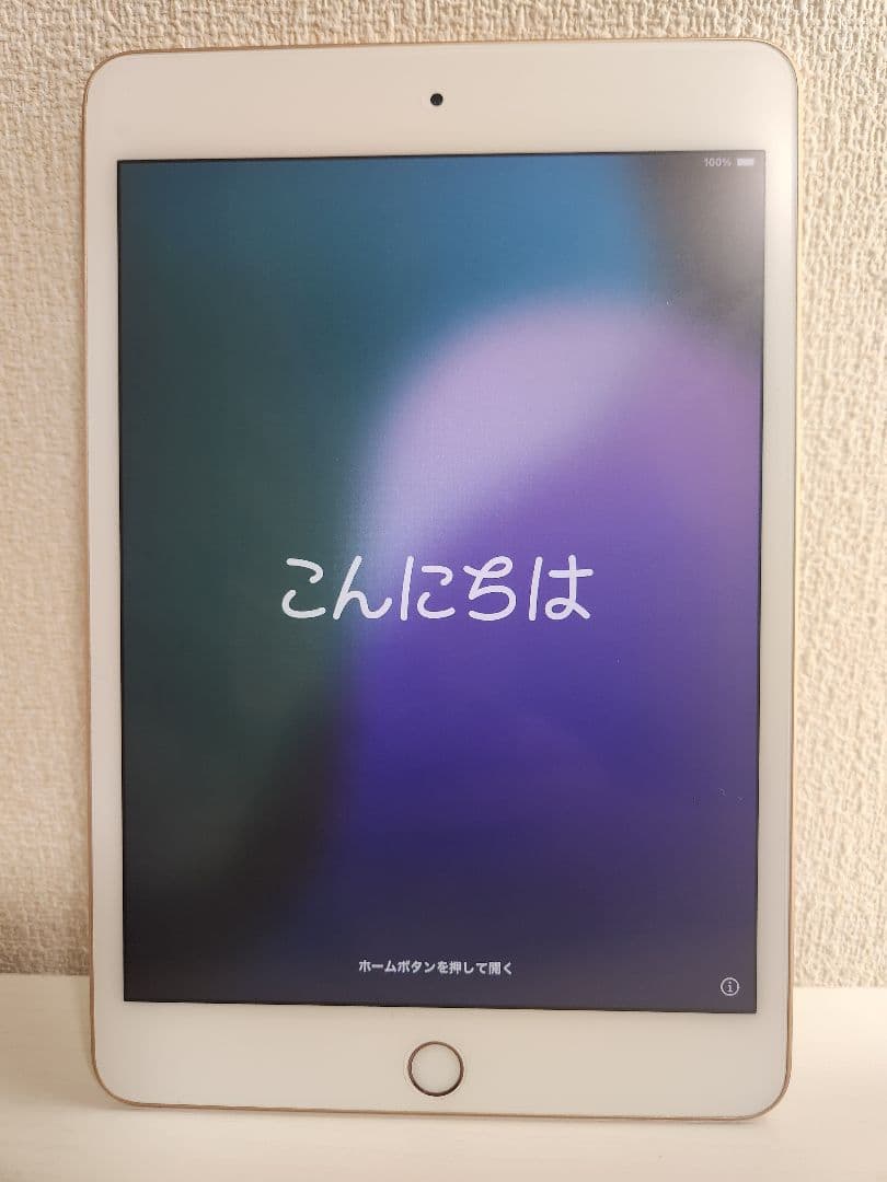 【限定値下げ】iPad mini 5＋Apple Pencil第1世代