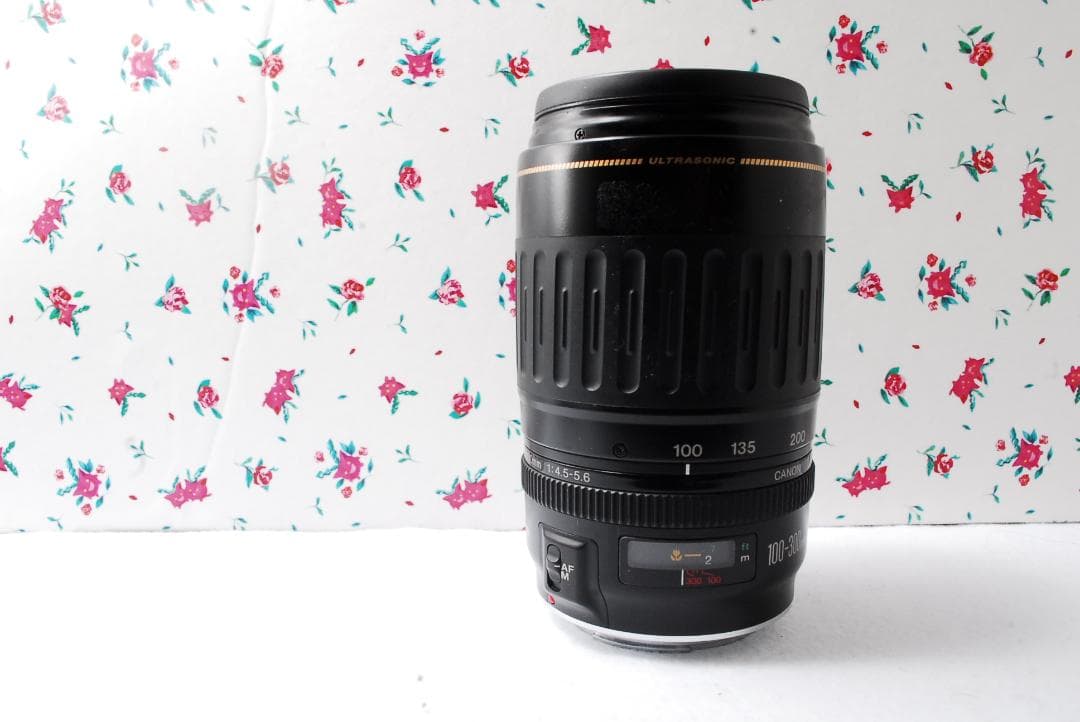 ❤️Canon用❤️100-300mm❤️超望遠❤️ズームレンズ ❤️キャノン