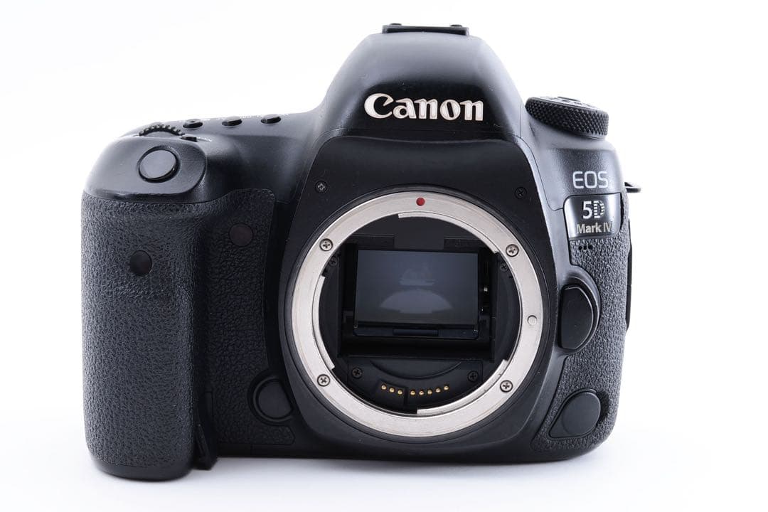 付属品付　キャノン Canon EOS 5D Mark IVダブルレンズセット