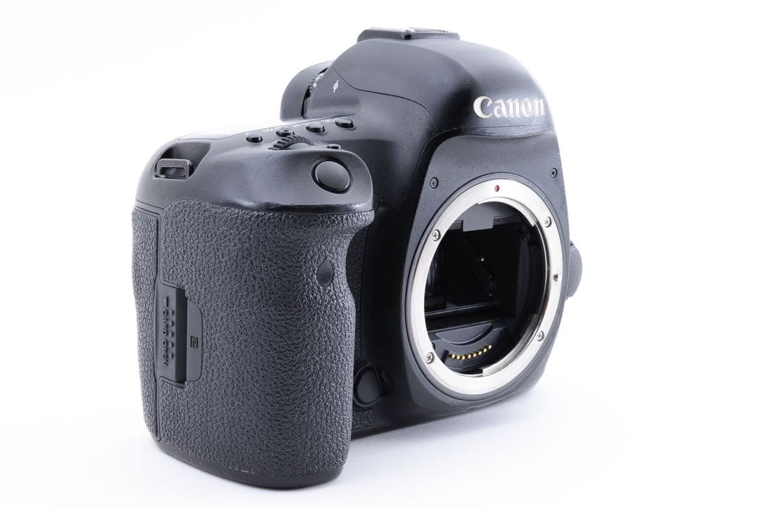 付属品付　キャノン Canon EOS 5D Mark IVダブルレンズセット