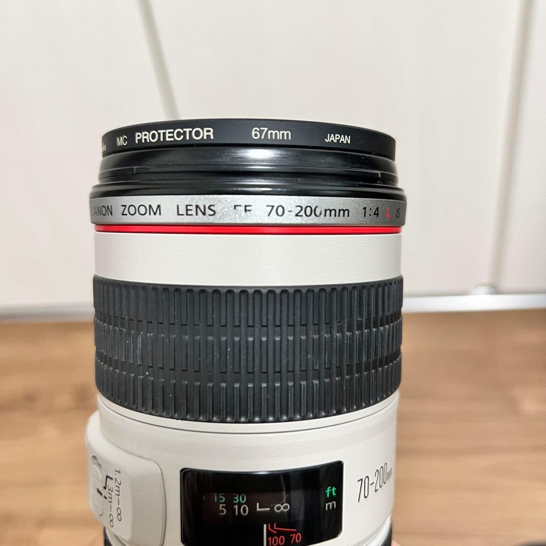 くま　CANON EF70-200mm F4L IS USM　キヤノン