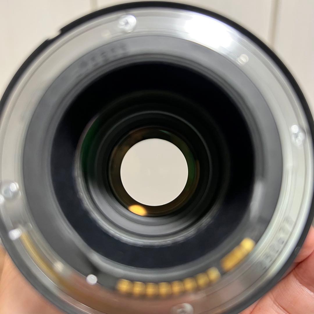 くま　CANON EF70-200mm F4L IS USM　キヤノン