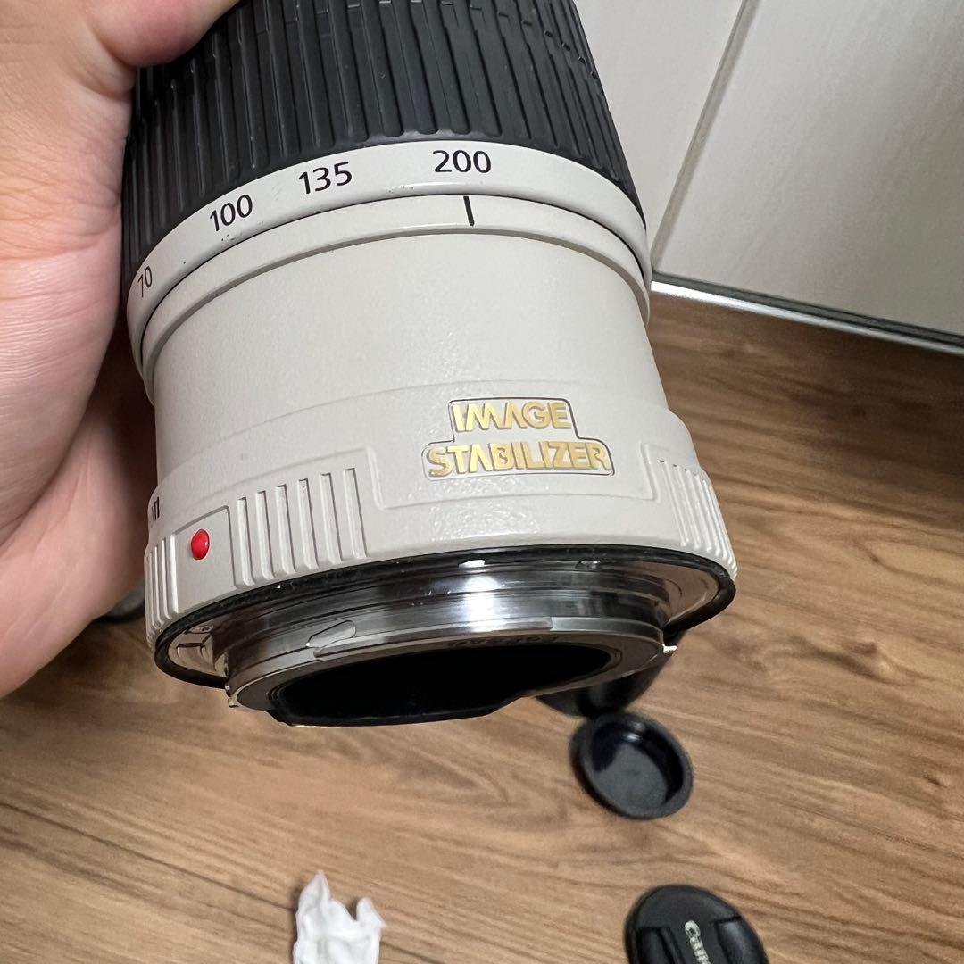 くま　CANON EF70-200mm F4L IS USM　キヤノン