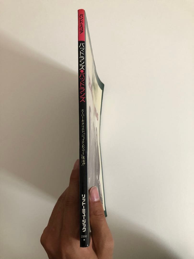 【希少】BADLANDS バッドランズ バンドスコア