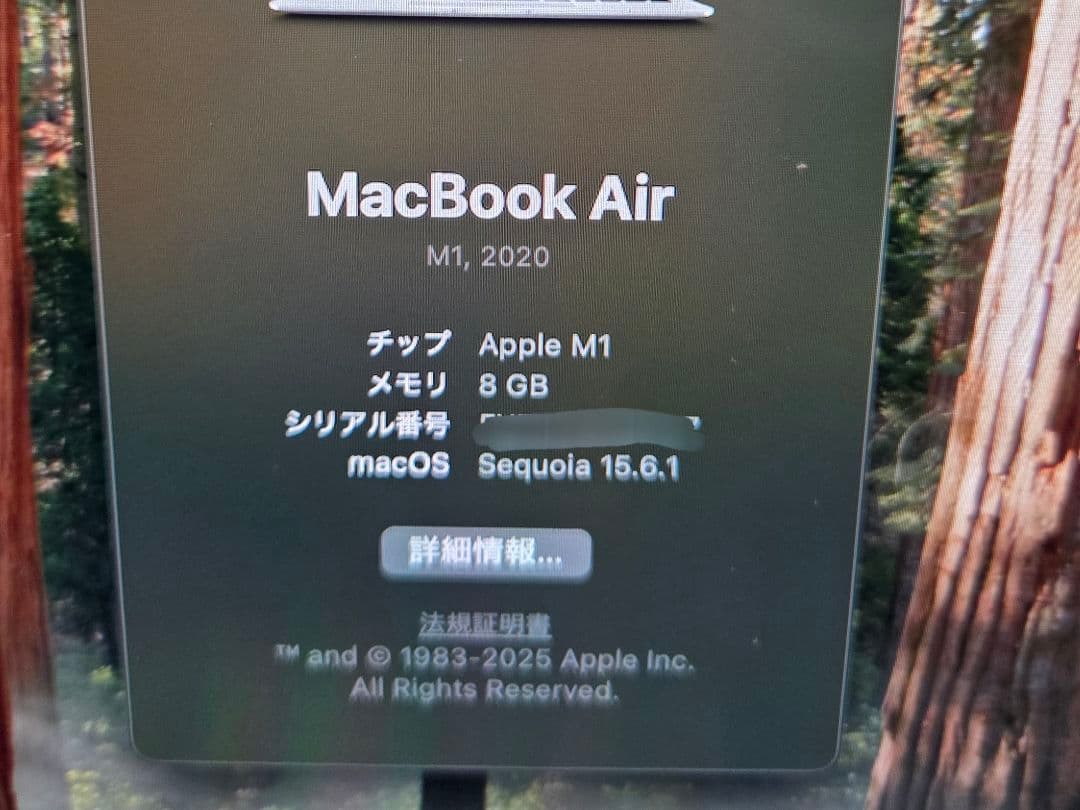Apple MacBook Air M1 2020 シルバー 8GB 256GB