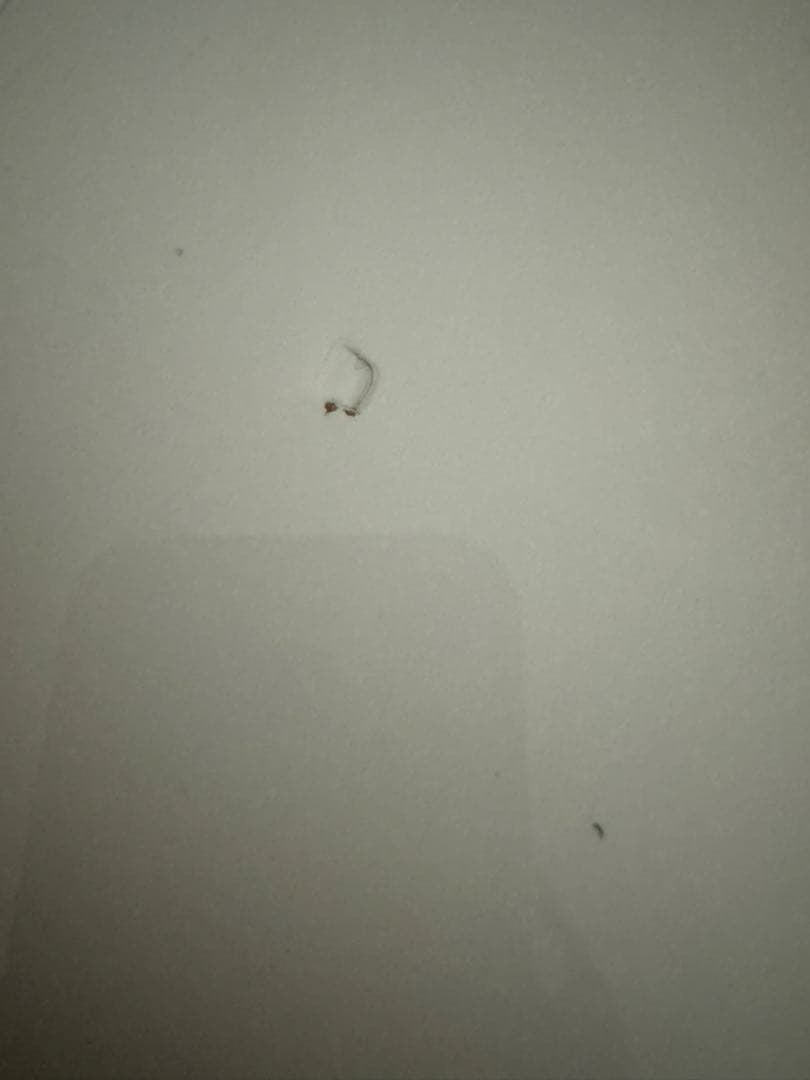 [予約品]ニトリ キッチンボード レジューム