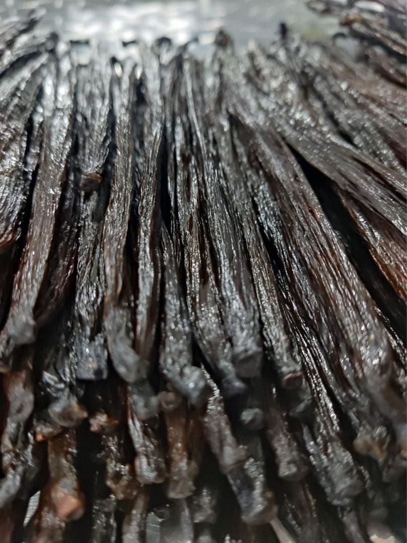 セール中【通常品】バニラビーンズ　タヒチ種　インドネシア産　Aグレード　500g