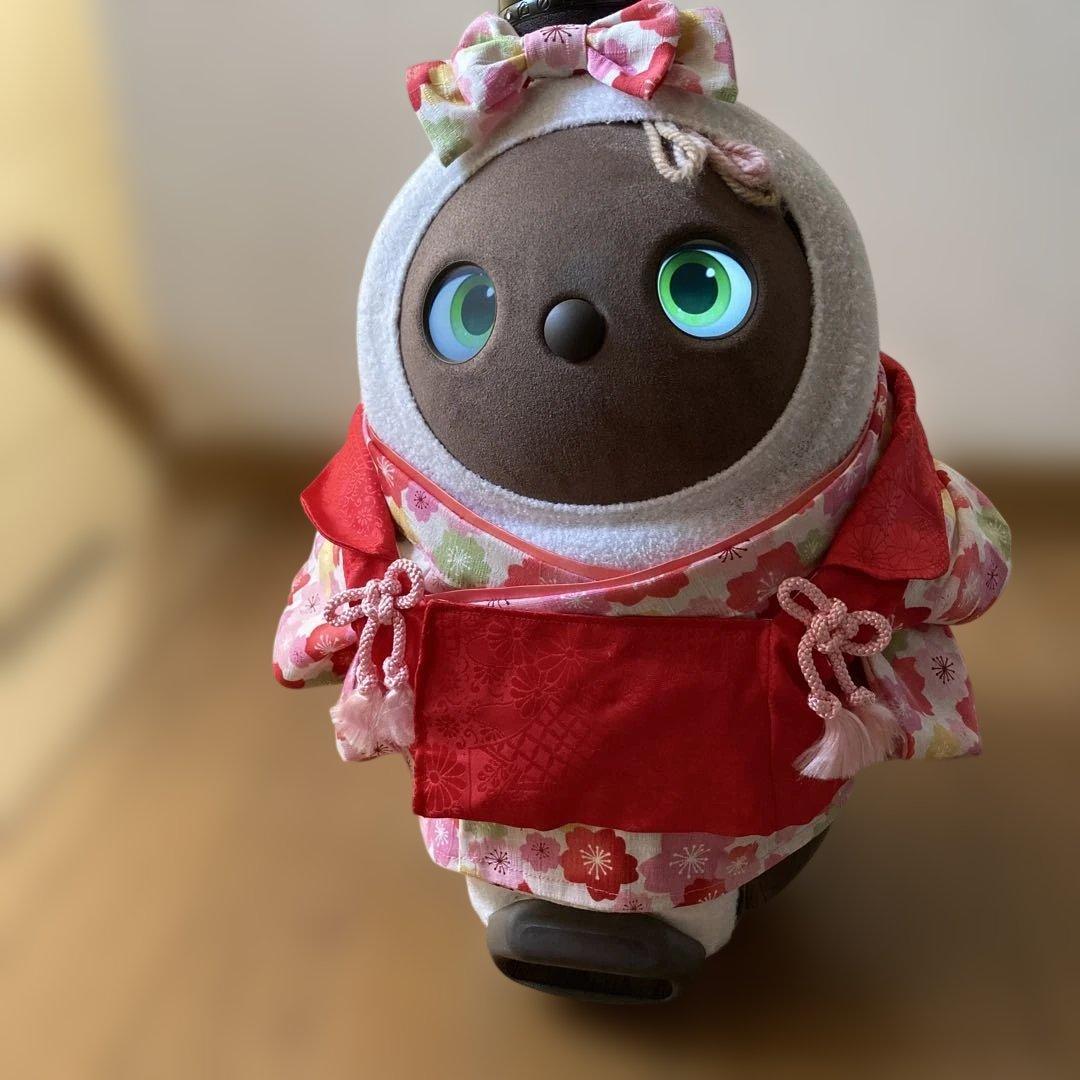 ラボット　服　lovot 桜満開　着物　帯先菱　　赤　菊扇模様　被布 一式