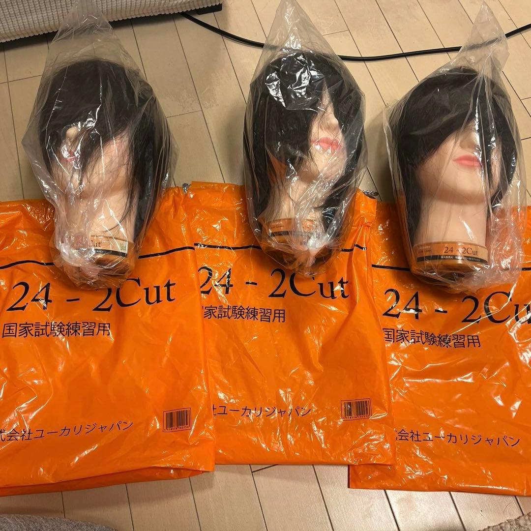 美容師国家試験　練習用　カットウィッグ　新品未使用　プラスおまけウィッグ付き