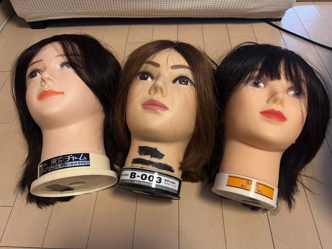 美容師国家試験　練習用　カットウィッグ　新品未使用　プラスおまけウィッグ付き