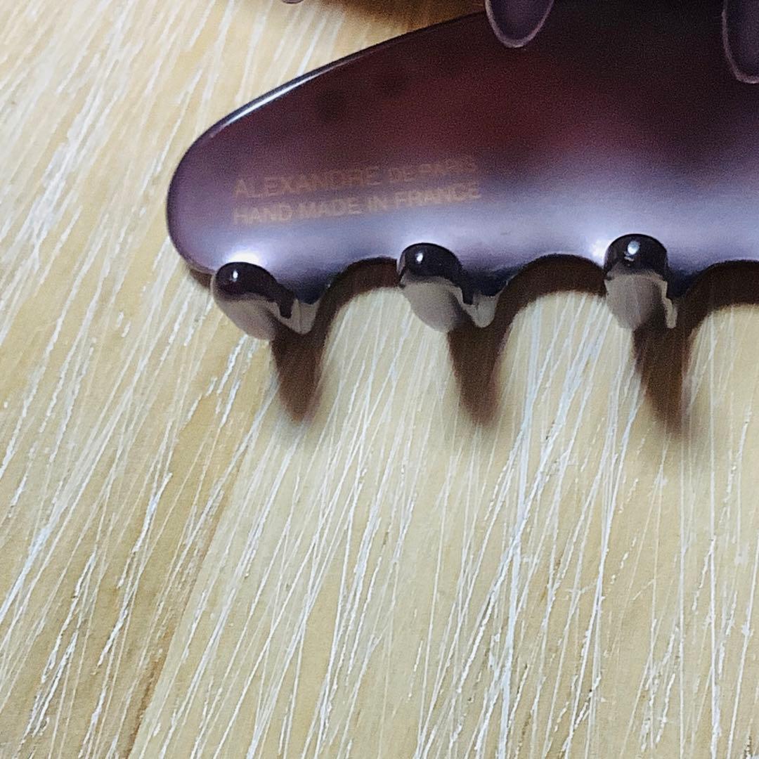 Alexandre de paris Mクリップ/ BASIC STRASS