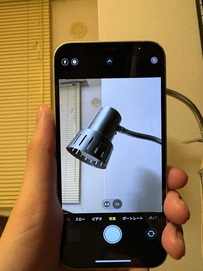 Apple iPhone 12本体