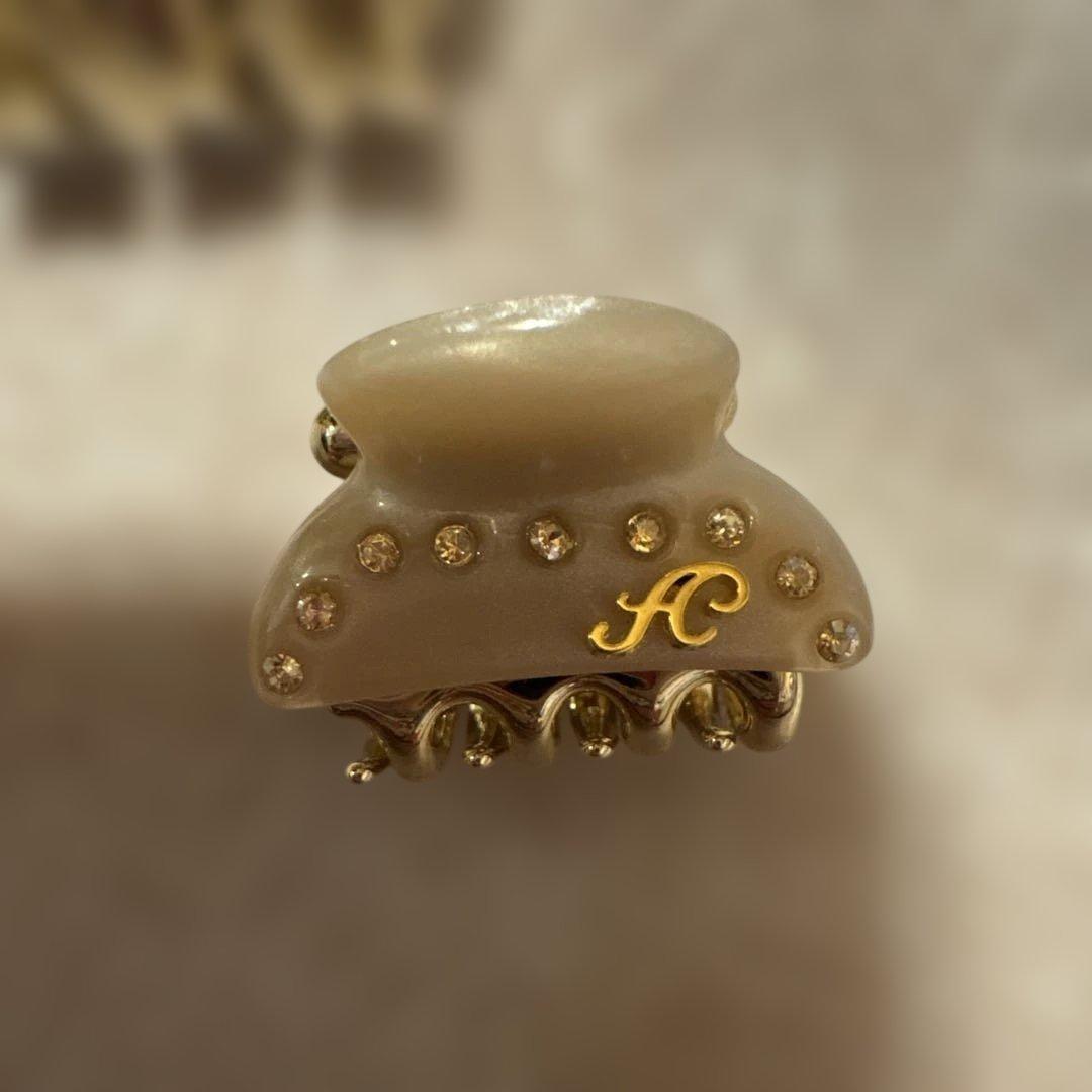 acca クリスタルヘアクリップ2個セット