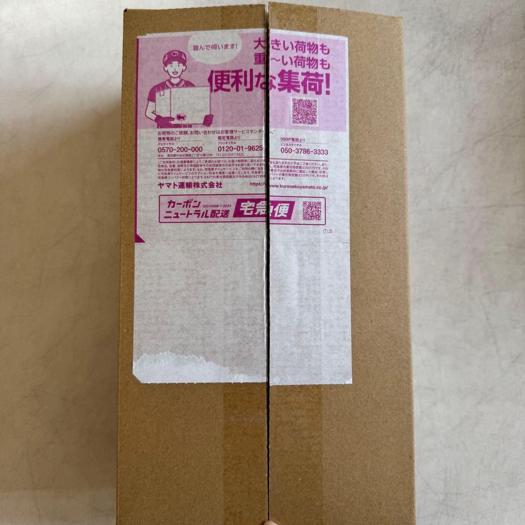 ポケモンセンター ヒロシマ スペシャルBOX 納品書付