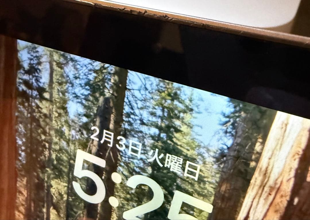 MacBook Pro 2019 13インチ　マジックマウスブラック付