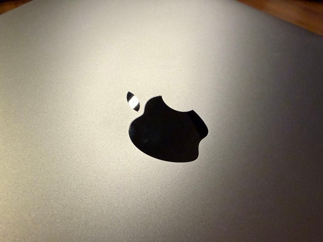 MacBook Pro 2019 13インチ　マジックマウスブラック付