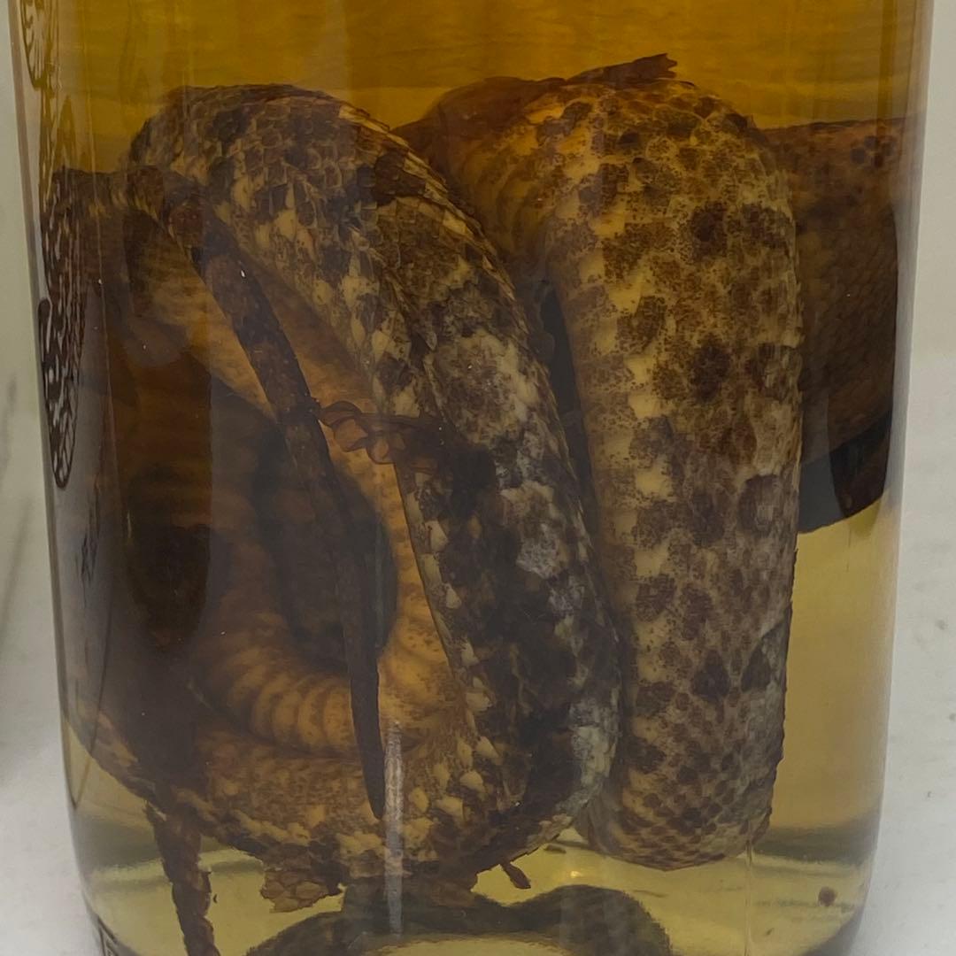 【未開封】南都酒造所　ハブ酒　ハブ入り　と　原酒　計2本