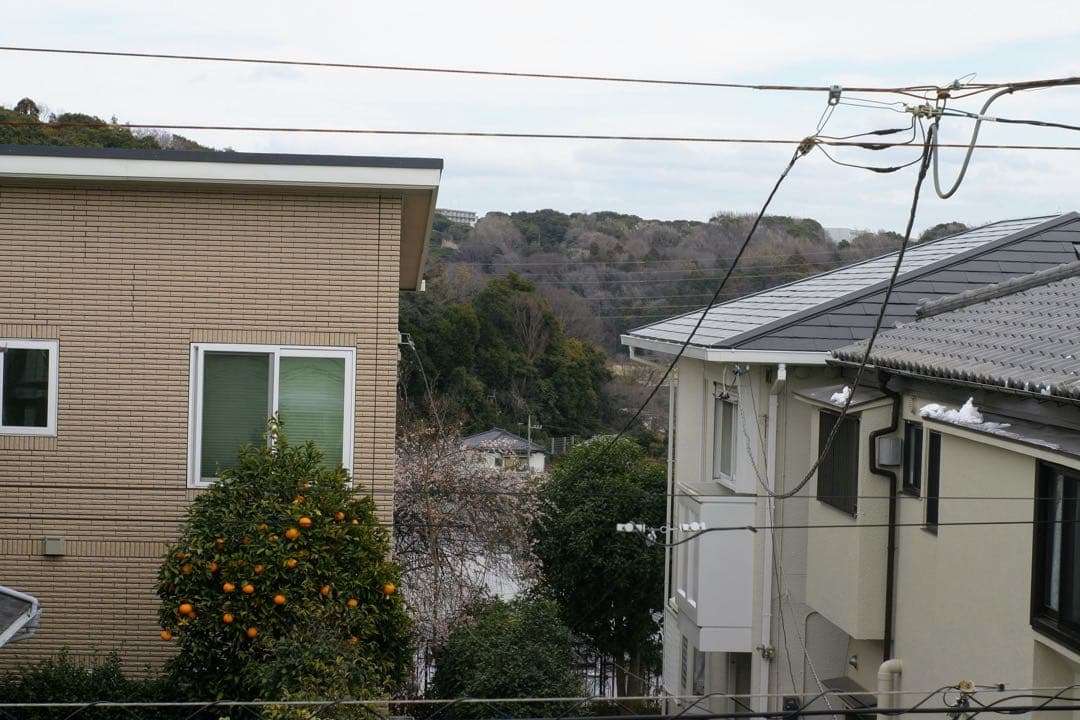 【南青山のそよ風】AUTO YASHINON-DX 50mm/F2.0 M42