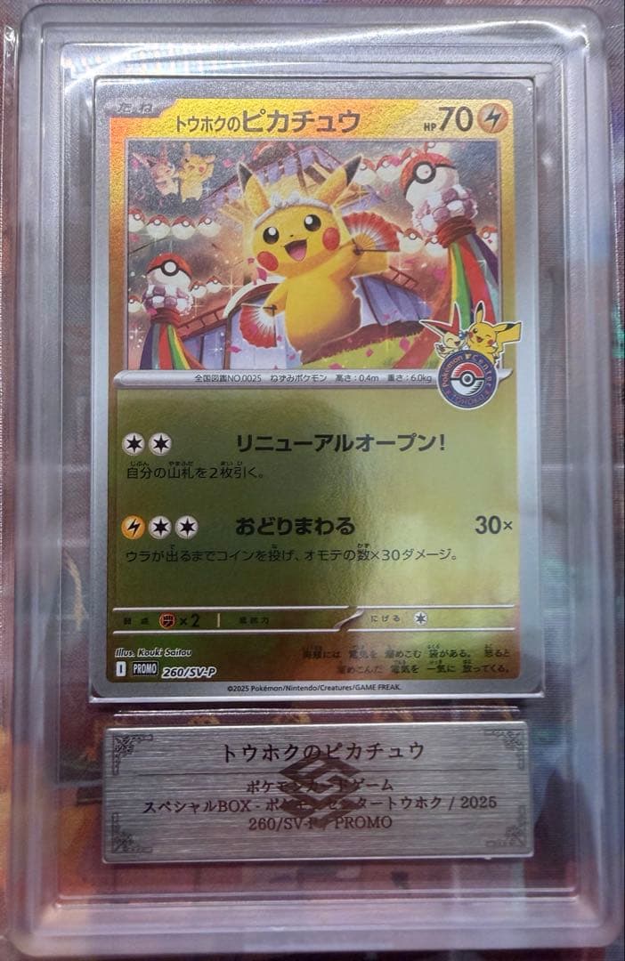 トウホクのピカチュウ ARS10